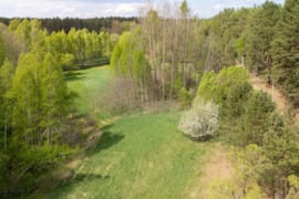 Arduodamas namų valdos sklypas unikaliame Marcinkonių kaime
