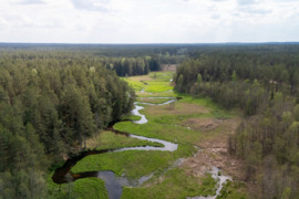 Arduodamas namų valdos sklypas unikaliame Marcinkonių kaime