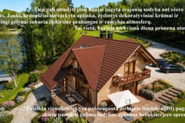 Išskirtinė sodyba ant ežero kranto! Vilkaviškio raj., Vygreliai.