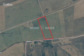 7.70 a sklypas Trakų r. sav., Mamavys