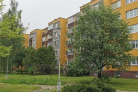 Dviejų kambarių butas Panevėžio m.