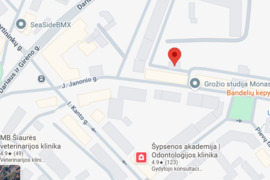 Šviesus ir jaukus dviejų kambariu palėpinis butas centrinėje miesto dalyje:  Janonio g.