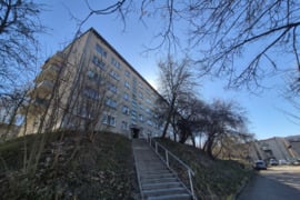 Parduodamas kambarys Pelesos g. 5-315, Vilniuje