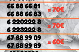 Gražūs VIP numeriai 22222 Komplektas.