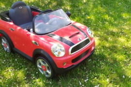 Automobilis elektrinis