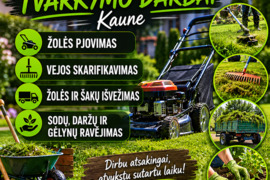 Apželdinimo darbai