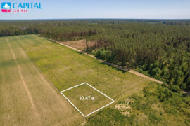 10.47 a sklypas Vilniaus r. sav., Didieji Lygainiai, Pakrempės g.