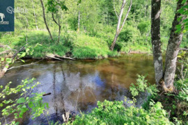 195.34 a sklypas Širvintų r. sav.
