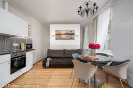 Studios & Apartments rental in Naujamiestis - New Town