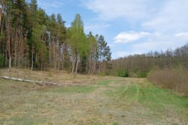 Parduodamas Sklypas prie Merkio upės (ribojasi) Varėnos r. sav., Varėnos sen., Perlojos k.