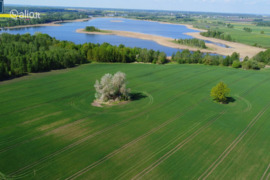 264.0 a sklypas Ukmergės r. sav., Domantiškiai