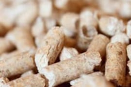 Granules