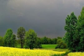 Nuo 6 a iki 150 a sklypą, Elektrėnų sav.