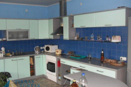 Namas Klaipėda, Miškas