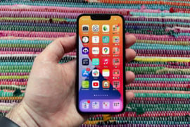 Apple 13 mini