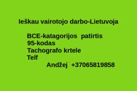 49vyras Vairuotojas BCE-kategorijas