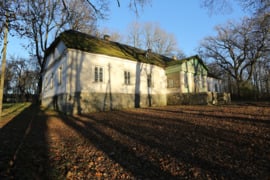 PARDUODAMAS PAŠIAUŠĖS DVARAS ISTORINĖ ERDVĖ SU IŠSKIRTINIU POTENCIALU