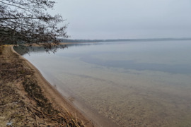 Ant Dusios ežero kranto parduodame 66,9a sklypą