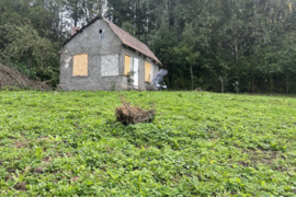 6 a sklypas Ukmergės r. sav., Ukmergė