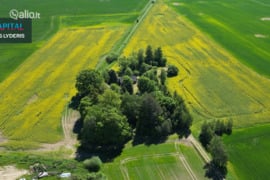 Prienų r. sav., Prienai