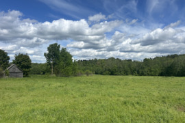 Parduodamas 1,21 ha žemės ūkio paskirties sklypas Utenos r., Vilučių k.