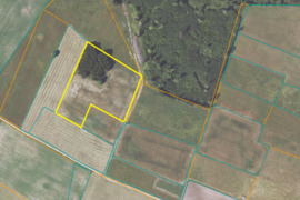 Parduodamas 1,39 ha žemės ūkio paskirties sklypas vaizdingoje Utenos rajono vietovėje – Užpalių seni