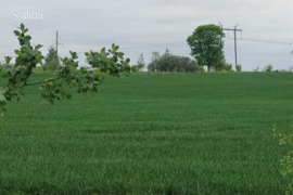 81.0 a sklypas Šiaulių r. sav., Lieporiai, Notangos g.