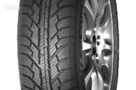 Neolin NeoWinter Ice 205/55R16 91T, Žieminės padangos