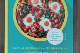 KATE ALLINSON / KAY FEATHERSTONE - 100  naminių  sveikų,  sočių  ir  skanių  patiekalų