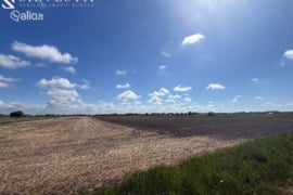 185.0 a sklypas Klaipėdos r. sav., Dovilai