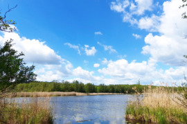 Parduodamas namas šalia ežero Ditkūnų k., Zarasų r.