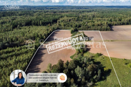 650 a sklypas Kelmės r. sav.