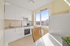 1 kamb. butas Vilnius, Baltupiai, Didlaukio g.