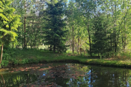 Slauga