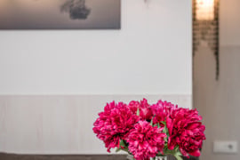 HOME Apart-Hotel Rooms & Studios rental for a week in New Town