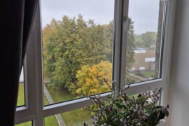 PARDUODAMAS 2-JŲ KAMBARIŲ BUTAS MAŽEIKIŲ MIESTE SODŲ G.12