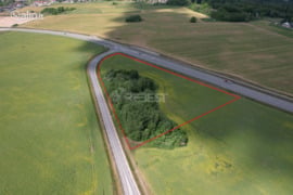 101 a sklypas Šiaulių r. sav., Aleksandrija