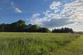 PARDUODAMAS 56 ARŲ SKLYPAS PRIE PAT UTENOS MIESTO RIBOS, NEMEIKŠČIŲ K.
