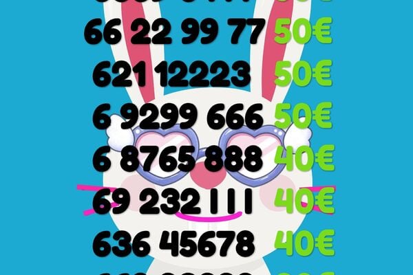Lengvas numeris  111 222 333