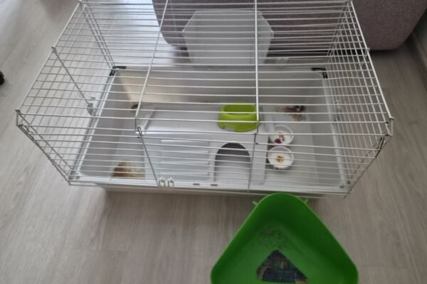 Graužikų narvas su priedais