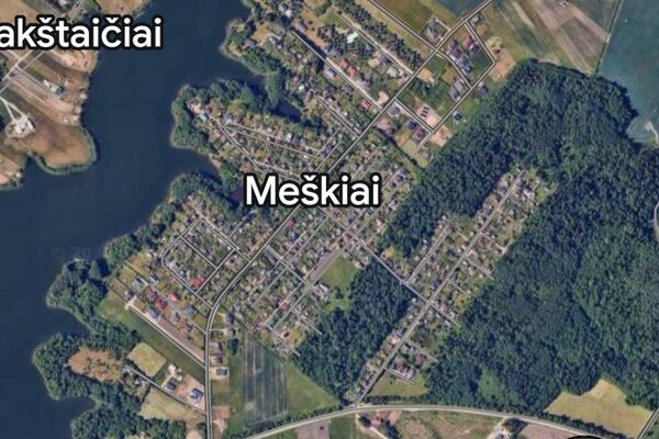 Sodo namas Šiaulių r. sav., Meškiai