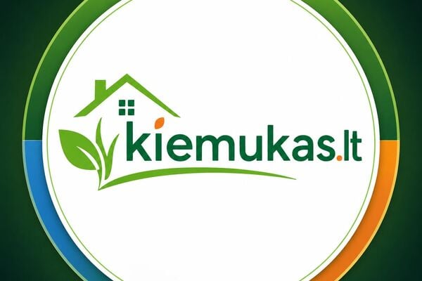 Trinkelių, fasado valymas - aplinkos priežiūra