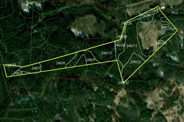 Parduodamas 11,30 ha žemės ūkio sklypas su mišku Švenčionių raj.