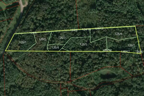 Parduodamas 4,21 ha miškas Tauragės raj.