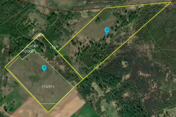 Parduodami 2 besiribojantys miškai Radviliškio raj. Bendras plotas 19,81 Ha.