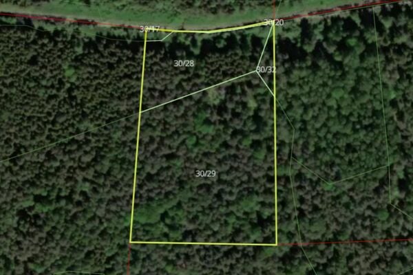 Parduodamas 1,95 ha miškas Klaipėdos raj.
