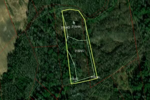 Parduodamas 1,39 ha miškas Švenčionių raj.