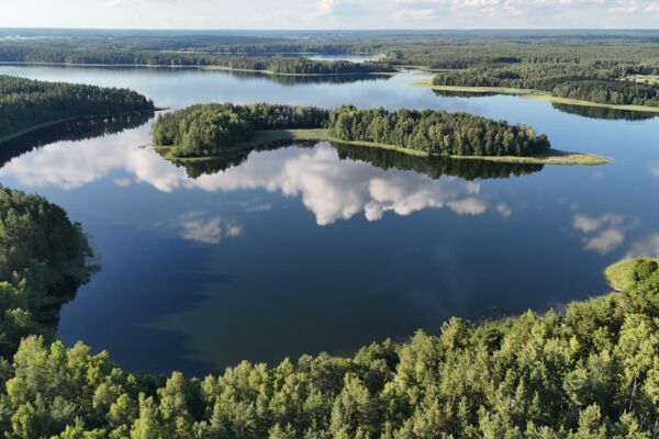 Labonoro Regioniniame Parke Juodųjų Lakajų Pakranteje Nuomojamos Valtys.