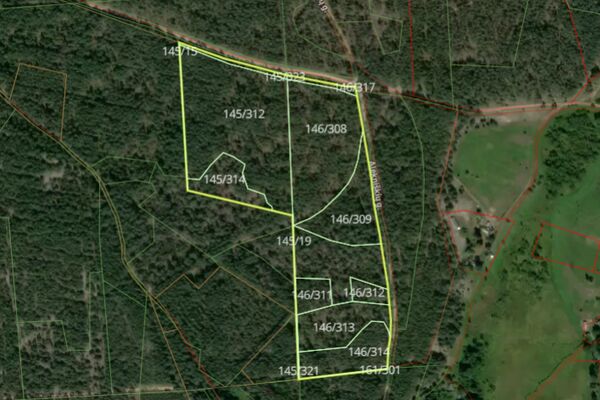 Parduodamas 11,43 ha miškas Varėnos raj.