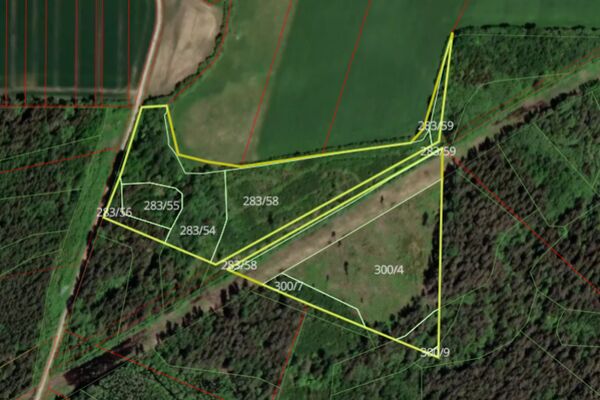 Parduodamas 5,4 ha miškas Rietavo raj. 